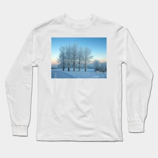 Winter Trees in Ireland Long Sleeve T-Shirt